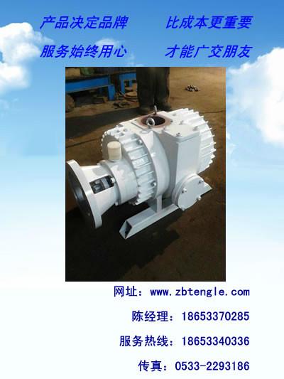 國產(chǎn)羅茨真空泵圖片