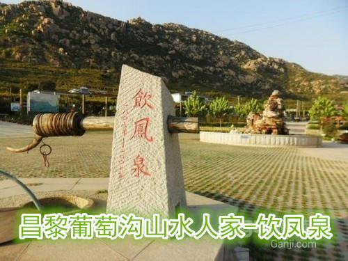 供應(yīng)秦皇島旅游農(nóng)家院住宿--昌黎葡萄溝山水人家農(nóng)家院