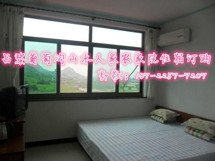 昌黎葡萄圖片/昌黎葡萄樣板圖 (2)