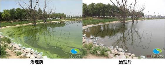 水體圖片/水體樣板圖 (3)