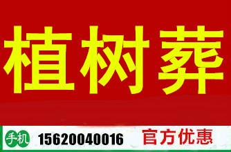 供應(yīng)植樹葬價位，天津植樹葬價位，中國植樹葬價位