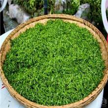 供應(yīng)蘇州東山碧螺春茶葉茶莊_蘇州東山碧螺春茶葉茶廠_蘇州東山碧螺春報價