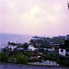 供應(yīng)碧螺春新茶炒青批發(fā)_蘇州東山碧螺春新茶炒青直銷價格中國優(yōu)質(zhì)供貨商