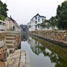 供應(yīng)蘇州東山碧螺春新茶制作_蘇州東山碧螺春新茶品牌_蘇州東山碧螺春報價