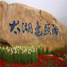 碧螺春圖片/碧螺春樣板圖 (2)