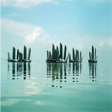 供應(yīng)東山原生態(tài)碧螺春茶莊_蘇州原生態(tài)碧螺春廠(chǎng)家直銷(xiāo)_原生態(tài)碧螺春批發(fā)商