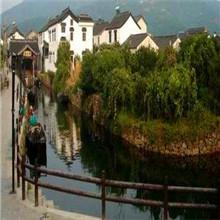 供應(yīng)蘇州碧螺春茶葉批發(fā)_東山碧螺春茶葉批發(fā)_蘇州東山碧螺春茶葉批發(fā)價格