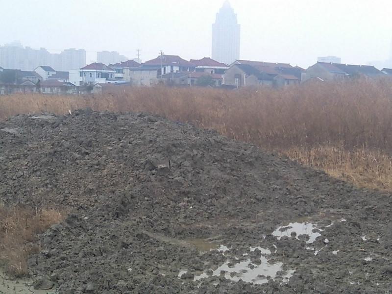 金华市水洗砂泥浆处理设备厂家