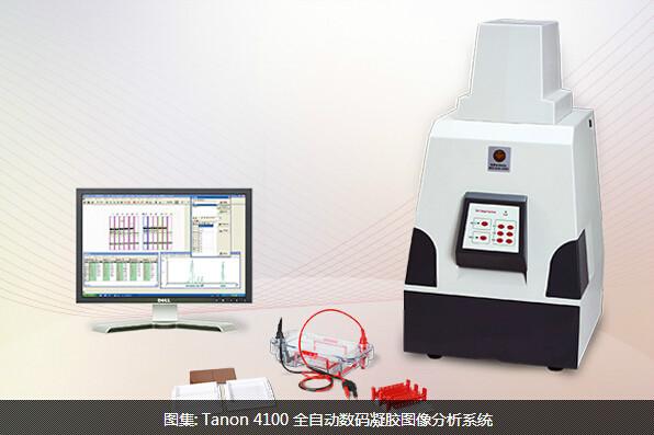 Tanon4100全自动数码凝胶图像分析图片