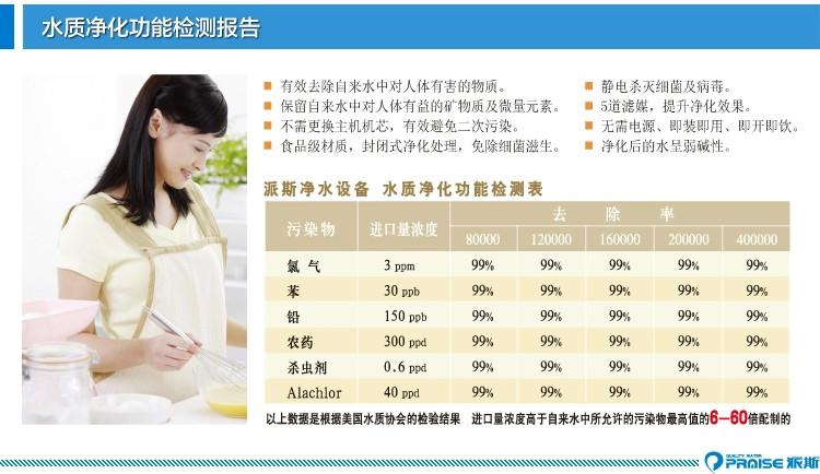 供應(yīng)美國派斯金濾媒中央凈水機PS-300A