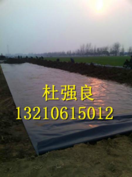 供應(yīng)全新料藕池*膜_環(huán)保防滲*土工膜_黑色hdpe地膜