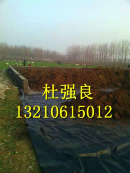供應大石橋養(yǎng)殖土工膜_防滲布0.35全新料_抗拉伸0.4hdpe防滲膜