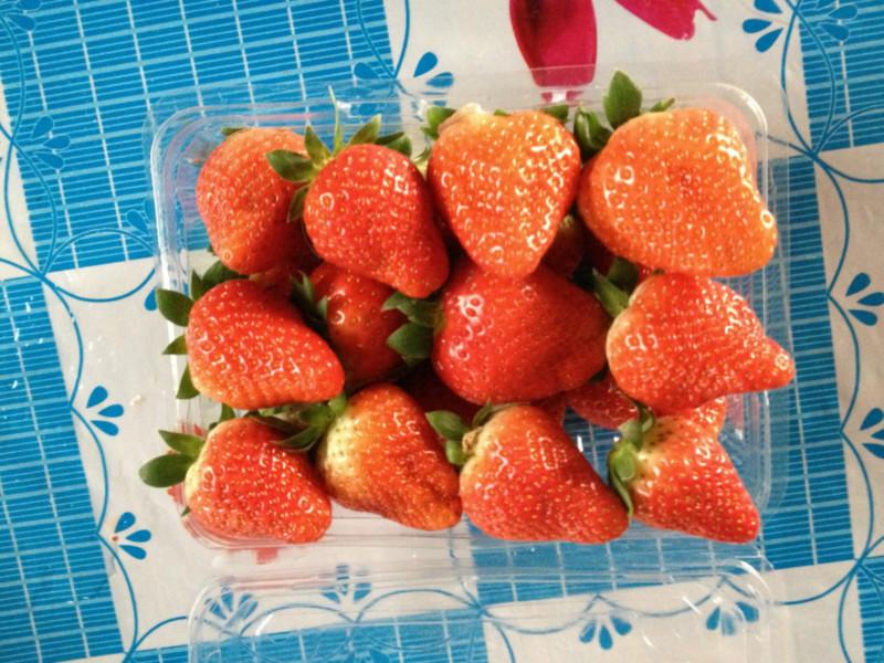 供應(yīng)山東法蘭地草莓價(jià)格，山東法蘭地草莓哪家價(jià)格*