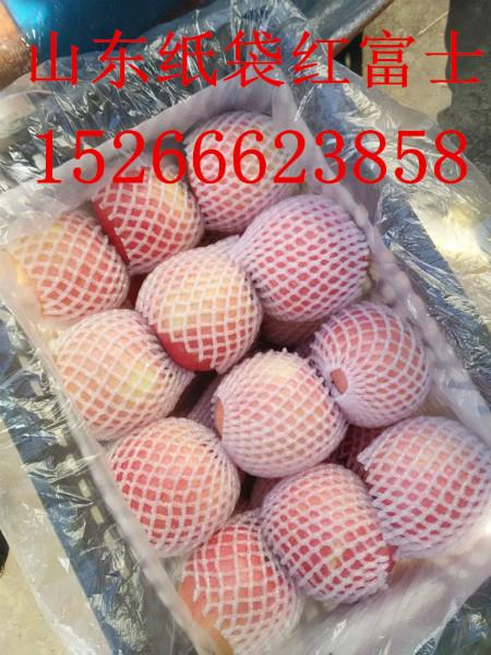 供應(yīng)冷庫(kù)蘋(píng)果價(jià)格，山東紅富士?jī)r(jià)格，山東紅富士基地