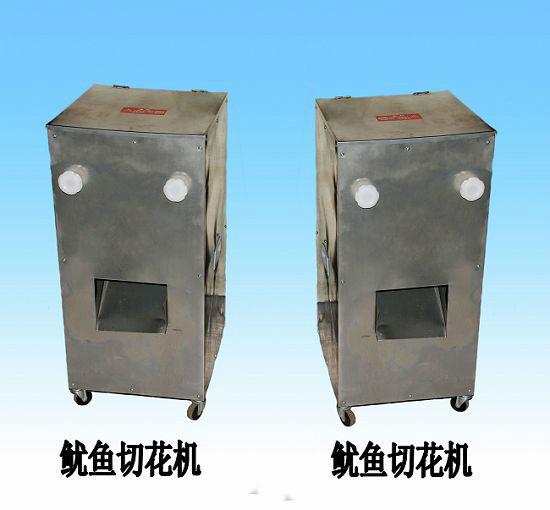 魷魚圖片/魷魚樣板圖 (4)