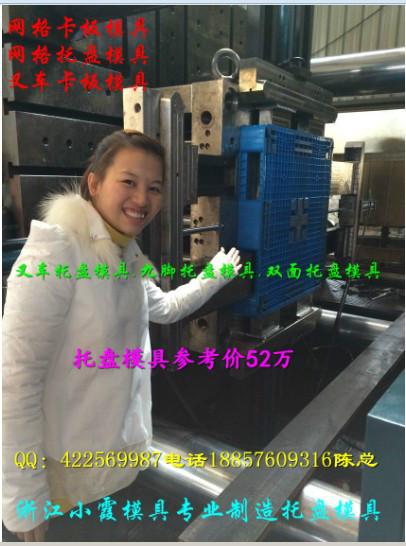 供應(yīng)1.5米田子塑膠托盤模具應(yīng)