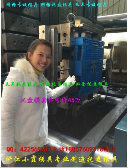 供應(yīng)1.5米田子塑膠托盤模具應(yīng)
