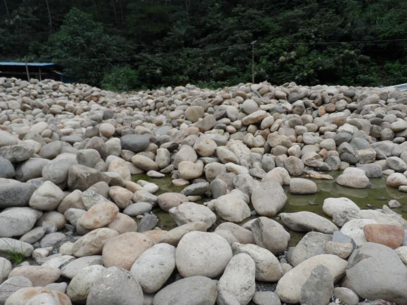 上海鵝卵石價格