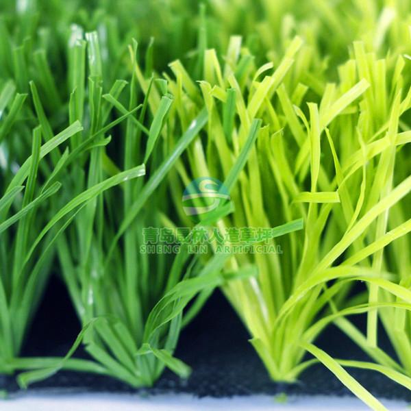 供應晟林足球場*草坪