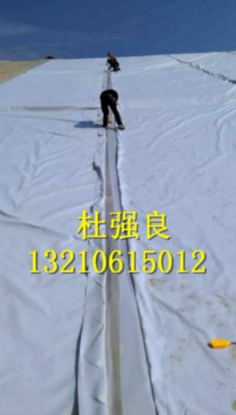 供應(yīng)2015年養(yǎng)殖地膜價(jià)格_hdpe土工膜/復(fù)合土工膜實(shí)時(shí)報(bào)價(jià)