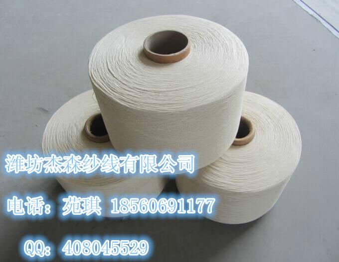 全純滌紗線生產(chǎn)廠家圖片/全純滌紗線生產(chǎn)廠家樣板圖 (2)