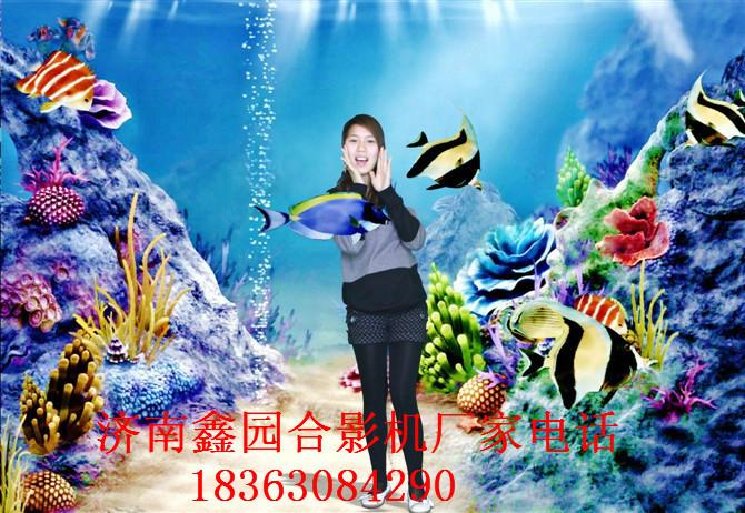 供應(yīng)聊城*拍*攝影機(jī)制造商