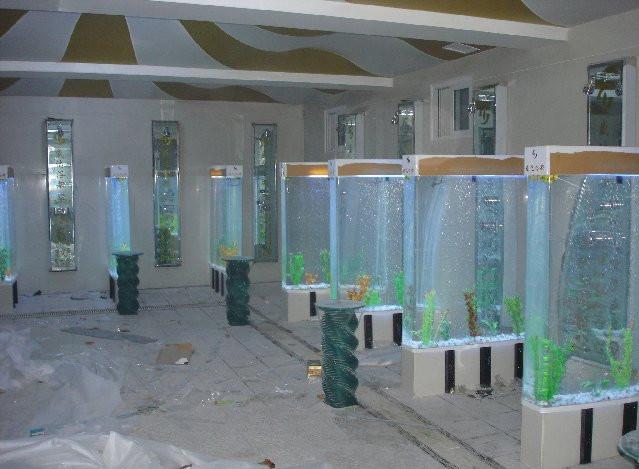 海鮮制冷圖片/海鮮制冷樣板圖 (4)