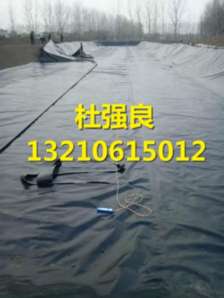 供應(yīng)0.35土工膜是什么價 水產(chǎn)養(yǎng)殖膜/地膜什么價_*的價格_*品質(zhì)
