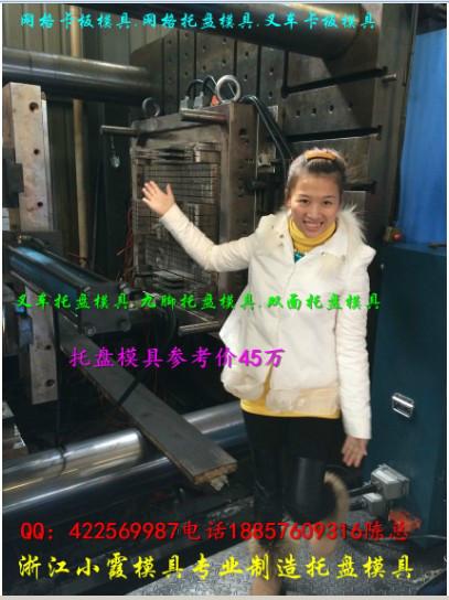 供應(yīng)小型塑膠棧板模具