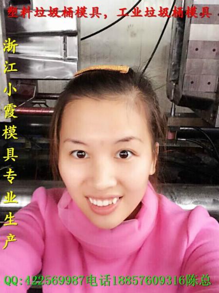 供應(yīng)環(huán)衛(wèi)桶模具2016模具價格