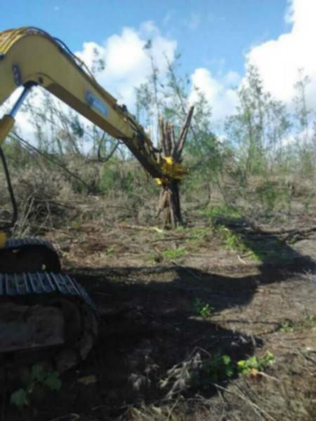 哪里定做單油缸旋轉(zhuǎn)抓木器山東華峰