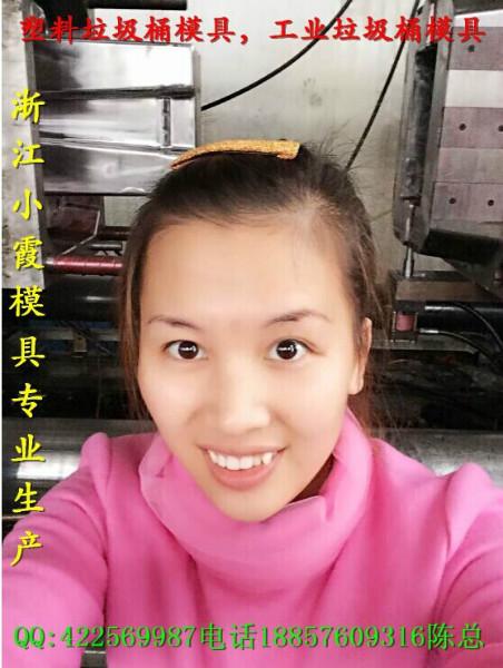 供應(yīng)臺(tái)州注塑模具工業(yè)垃圾桶塑料模具