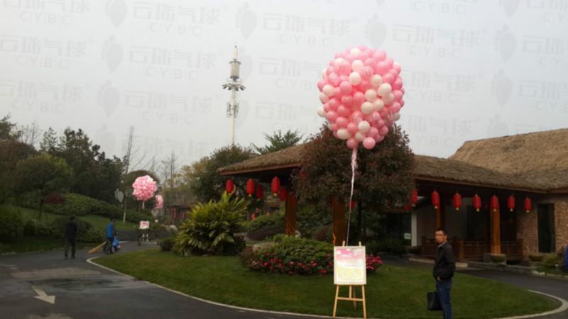 供應(yīng)氣球?qū)殞氀?熱氣球造型/氣球布置/場(chǎng)地氣球裝飾/成都?xì)馇蛟煨?  title=