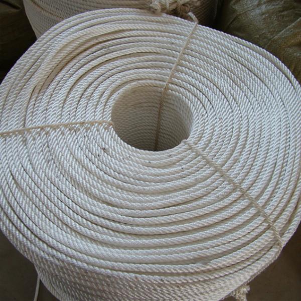 供應(yīng)河北廠家環(huán)保項(xiàng)目配套10mm尼龍繩