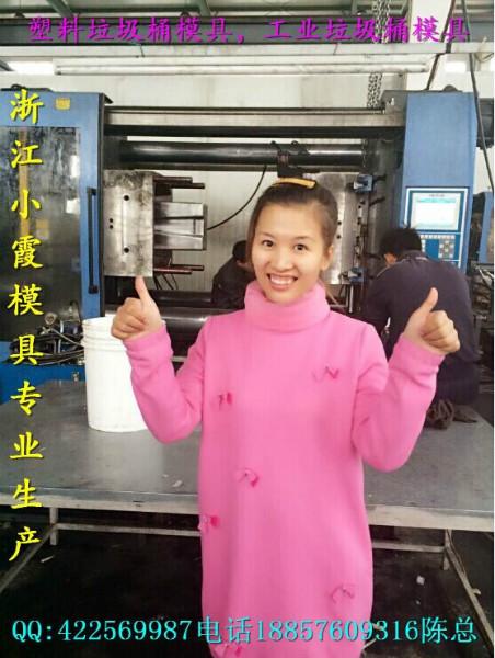 供應注射模具120升工業(yè)垃圾桶塑料模具