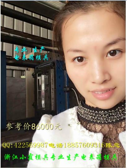 供應(yīng)PC塑料電表箱模具制造生產(chǎn)