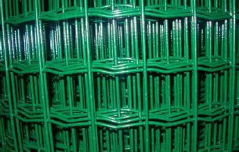 供應(yīng)包塑鐵絲荷蘭網(wǎng)/鐵絲包塑荷蘭網(wǎng)/哪里的荷蘭網(wǎng)*