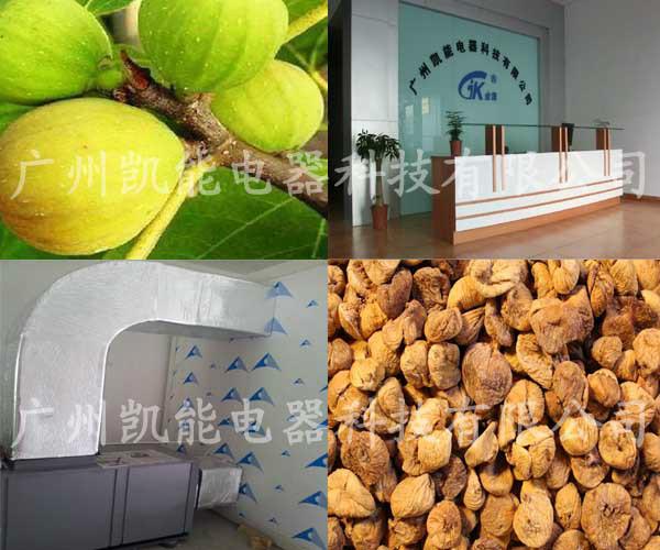 廠家供應無花果熱泵烘干機圖片