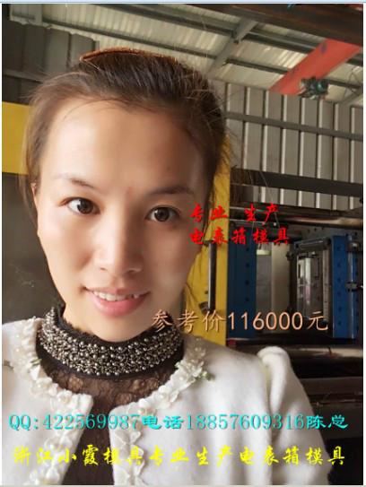 供應定制一套PC電表箱模具要多少錢