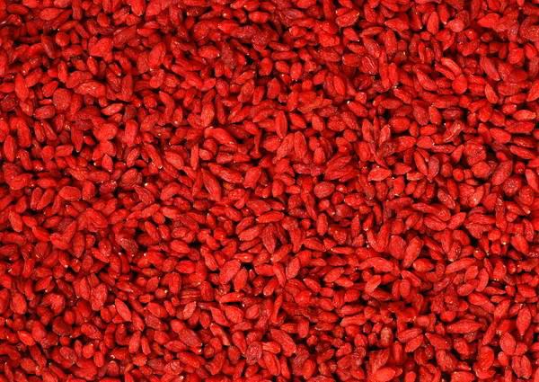 供應(yīng)枸杞烘干機(jī)金凱烘干機(jī)