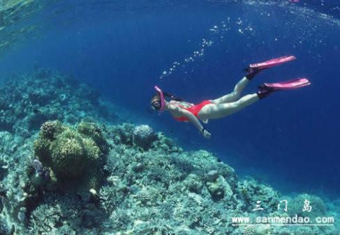 深圳到汕尾*兩天游 鳳山媽祖、蓮花山森林公園二日游