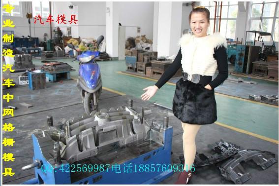 供應塑料模具汽配塑料中網模具