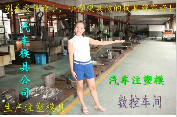 注塑保險(xiǎn)杠模具圖片/注塑保險(xiǎn)杠模具樣板圖 (4)