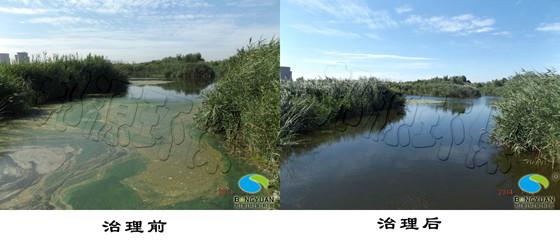 供應(yīng)再生水回用存在的問題及景觀水治理技術(shù)