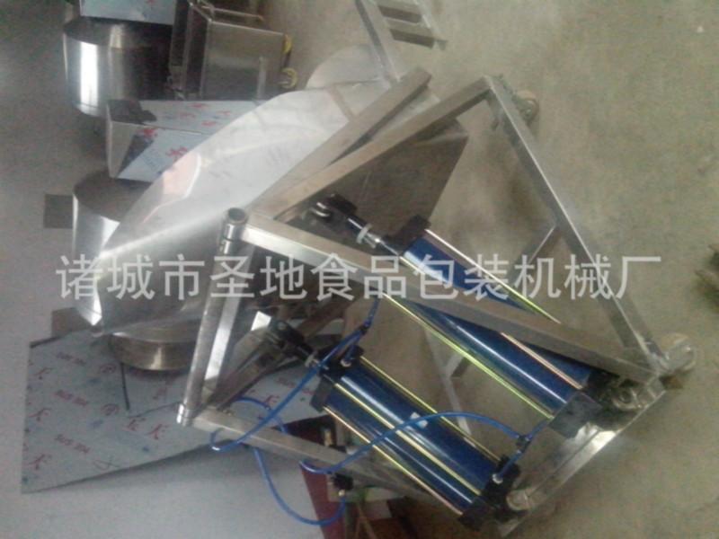 供應(yīng)真空滾揉機提升機，自動進料器