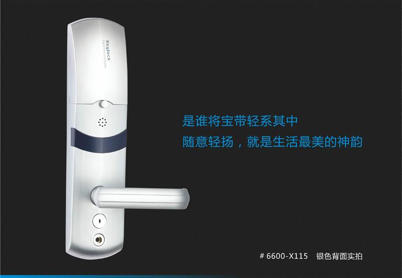 供應(yīng)廣西智能鎖批發(fā) #6600-115型