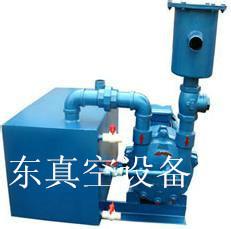 供應(yīng)2BV水環(huán)式真空機(jī)組，雕刻機(jī)*真空泵，滄州真空泵