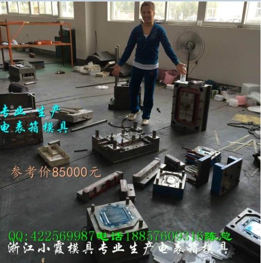 小霞模具一套PC电表箱模具要多少钱供应小霞模具一套PC电表箱模具要多少钱