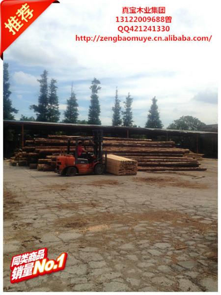 供應用于建筑工地支模的花旗松工地木材加工廠
