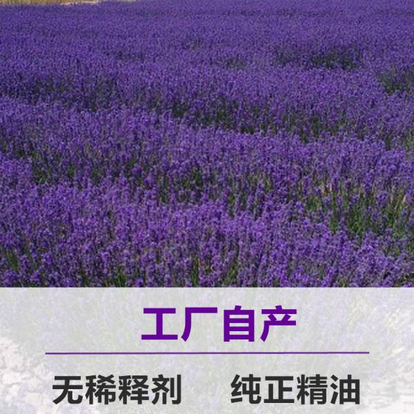 薰衣草精油图片